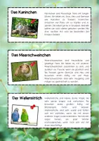 Vorschau - Arbeitsblätter - Haustiere Bundle (DaF) | Sprachförderung mit Sachthema - Seite 3