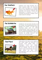 Vorschau - Text - Haustiere Lesetexte zum ausschneiden + Fragen - Seite 3