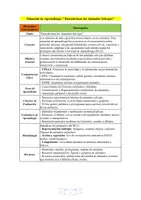 Vista previa - Unidades / Secuencias / Situaciones de Aprendizaje - SITUACIÓN DE APRENDIZAJE Y ACTIVIDADES _ANIMALES SALVAJES - página 1