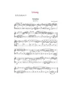 Vorschau - Arbeitsblätter - Sonatenhauptsatzform, Material, Noten - Seite 2