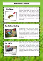 Vorschau - Mal- und Bastelvorlagen - Insekten: kurze Lesetexte zum ausschneiden - Seite 1