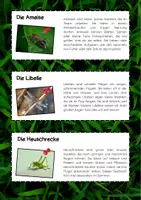 Vorschau - Mal- und Bastelvorlagen - Insekten: kurze Lesetexte zum ausschneiden - Seite 2