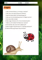Vorschau - Mal- und Bastelvorlagen - Insekten: kurze Lesetexte zum ausschneiden - Seite 3