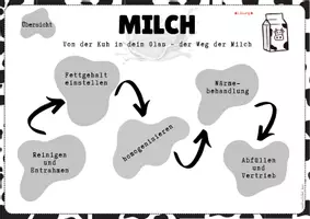 Vorschau - Stationenlernen - Milch - von der Kuh ins Glas - Stationenarbeit - Seite 3