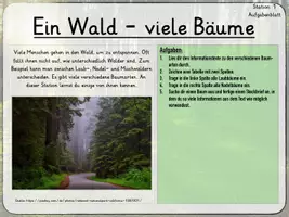 Vorschau - Unterrichtsreihen - Digitales Lernen: Lernwerkstatt Wald - Seite 2