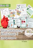Vorschau - Stundenentwürfe - Lymphgefäßsystem Einheit: Blut- und Herzkreislauf - Deckblatt