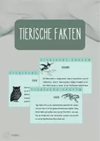Vorschau - Bildkarten - Funfacts: Tierische Fakten zum Stundeneinstieg - Deckblatt