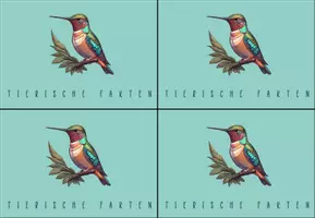 Vorschau - Bildkarten - Funfacts: Tierische Fakten zum Stundeneinstieg - Seite 2