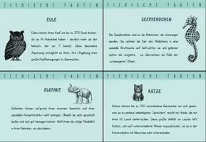 Vorschau - Bildkarten - Funfacts: Tierische Fakten zum Stundeneinstieg - Seite 3