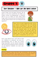 Vorschau - Arbeitsblätter - Körper, Sinne & Gesundheit: Organe, Nervensystem, Muskeln, Ernährung & Prävention - Seite 2