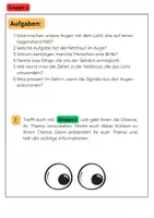 Vorschau - Arbeitsblätter - Körper, Sinne & Gesundheit: Organe, Nervensystem, Muskeln, Ernährung & Prävention - Seite 3