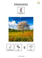 anteprima - Esercizi - Le stagioni in CAA e Testo DSA - Pagina 3