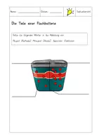 Vorschau - Arbeitsblätter - Die Teile einer Flachbatterie – Arbeitsblatt zur Beschriftung und Funktion (Sachunterricht / Physik) - Seite 2
