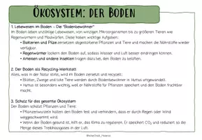 Vorschau - Arbeitsblätter - LERNTHEKE: ÖKOSYSTEM: DER BODEN (+Quiz) - Seite 1