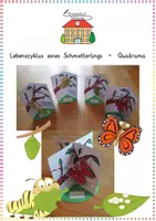 Vorschau - Mal- und Bastelvorlagen - Schmetterling: Lebenszyklus Quadrama (3D-Bastelvorlage) - Sachunterricht - Kl. 3/4 - Deckblatt