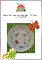 Vorschau - Arbeitsblätter - Schmetterling: Lebenszyklus auf dem Teller (Bastelvorlage) - Sachunterricht - Kl. 2/3 - Deckblatt