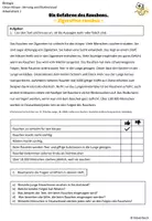 Vorschau - Arbeitsblätter - Gefahren des Rauchens - Seite 2