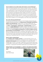 Vorschau - Arbeitsblätter - Orientierung im Hunderterfeld / auf der Hundertertafel – bunt, Grundschule, Förderschule, Förderbereich - Seite 2