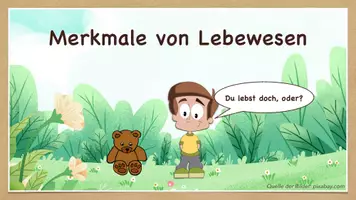 Vorschau - Stundenentwürfe - Merkmale / Kennzeichen von Lebewesen einführen und üben - Seite 2