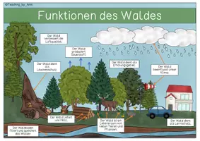 Vorschau - Merkblätter - Übersichtsblatt - Funktionen des Waldes - Seite 1