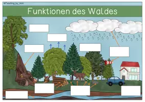 Vorschau - Merkblätter - Übersichtsblatt - Funktionen des Waldes - Seite 3