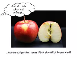 Vorschau - Stundenentwürfe - Enzyme - Wirkungsweise / Substratspezifität / Wirkungsspezifität - Seite 1