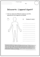 Aperçu - Préparation de séance / Séance complète - Leçon l'appareil digestif - Page 1