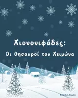 Προεπισκόπηση - Flashcards - Χιονονιφάδες: Οι θησαυροί του χειμώνα - Εξώφυλλο
