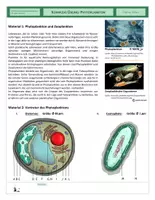 Vorschau - Arbeitsblätter - Zellen - Komplexe Übung - Phytoplankton - Deckblatt