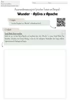 Vorschau - Arbeitsblätter - Arbeitsblatt: Lyrische Texte erarbeiten am Beispiel - Wunder - Ayliva x Apache - Seite 2