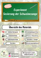 Vorschau - Arbeitsblätter - Experiment Sezierung der Schweinezunge - Deckblatt
