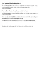 Vorschau - Merkblätter - 👩🏫💪 Hefteinträge zu WIRBELSÄULE und KNOCHEN - Seite 2