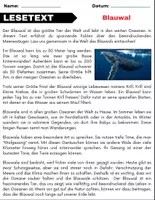 Vorschau - Spiele - Blauwal: Leseverständnis und Kreuzworträtsel mit Lösungen - Seite 1