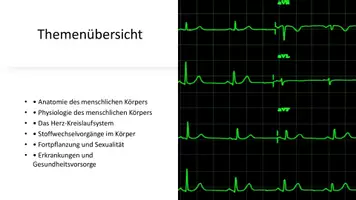Vorschau - Präsentationen/Tafelbilder - Anatomie & Physiologie - Körperfunktionen verstehen - Unterrichtseinstieg - Seite 1
