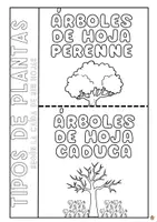 Vista previa - Hojas de trabajo - LAS PLANTAS - página 3