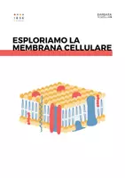 anteprima - Altro tipo di materiale - Esploriamo la membrana cellulare - Pagina di copertina