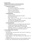 Vorschau - Unterrichtsreihen - Übung Pflegeprozess Herr Wiesner - Seite 3