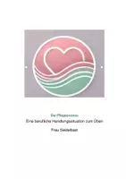 Vorschau - Unterrichtsreihen - Übung Pflegeprozess Frau Seidelbast - Deckblatt