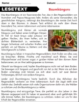 Vorschau - Spiele - Baumkänguru: Leseverständnis und Kreuzworträtsel mit Lösungen - Seite 1