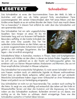 Vorschau - Arbeitsblätter - Schnabeltier: Leseverständnis und Kreuzworträtsel mit Lösungen - Seite 1