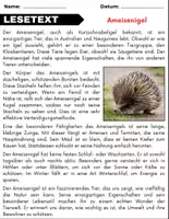 Vorschau - Arbeitsblätter - Ameisenigel: Leseverständnis und Kreuzworträtsel mit Lösungen - Seite 1
