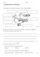 Vorschau - Test - Lernzielkontrolle / Test: Die Stockente (3./4. Klasse) - Seite 1