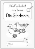 Vorschau - Unterrichtsreihen - Ente / Stockente - Forscherheft mit Tafelmaterial (1./2. Klasse) - Seite 3
