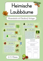 Vorschau - Stationenlernen - Laub- und Nadelbäume - Materialpaket (Wissenskartei & Steckbriefe mit Lösungen) - Seite 1