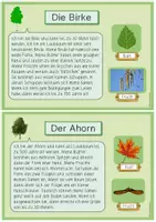 Vorschau - Stationenlernen - Laubbäume - Wissenskartei & Steckbrief-Vorlagen (2./3. Klasse) - Seite 3