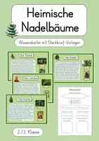 Vorschau - Arbeitsblätter - Nadelbäume - Wissenskartei & Steckbrief-Vorlagen (2./3. Klasse) - Deckblatt