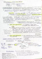 anteprima - Materiale di supporto/inclusione - Le Biotecnologie:red, white, green - Pagina 1