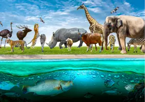 Aperçu - Affichage - kamishibaï LE ZOO - Page 2