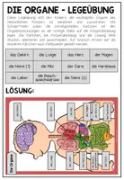 Vorschau - Arbeitsblätter - DIE ORGANE - Klettübung/ Legeübung - Seite 3