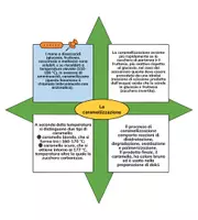 anteprima - Materiale di supporto/inclusione - alterazioni alimenti- La caramellizzazione - Pagina di copertina